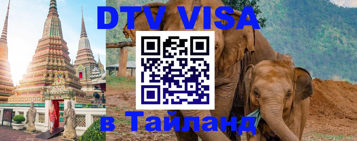 DTV Visa Тайланд купить 